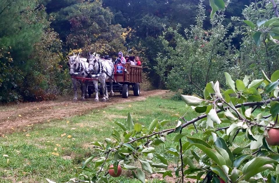 Hill Orchards - Johnston, RI
