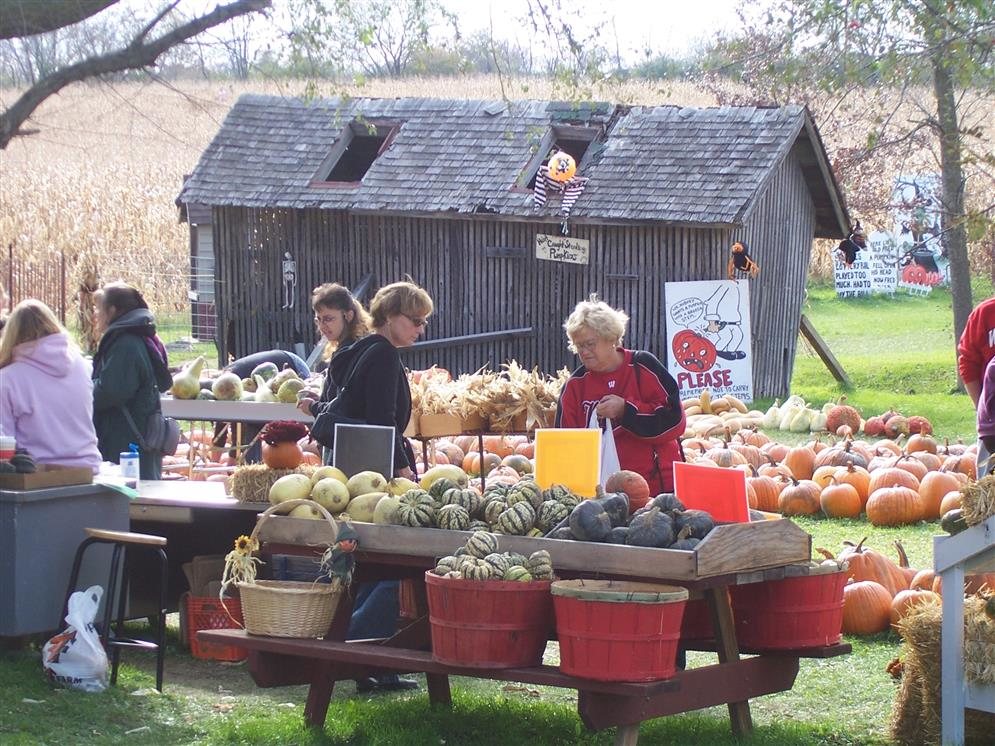 Jim s Pumpkin Farm Germantown  WI 