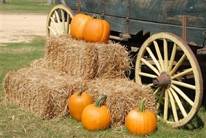 Photo by Paulbr75, via Pixabay | https://pixabay.com/en/pumpkins-wagon-farm-halloween-fall-1572854/