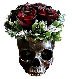 Skull Planter - Amazon.com.