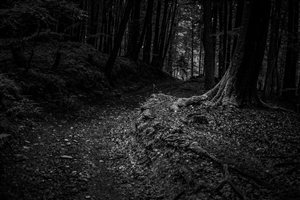 haunted trails ideas